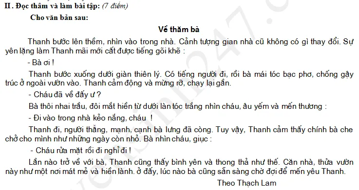 Cảnh minh họa đề thi Tiếng Việt giữa học kỳ 2 lớp 4