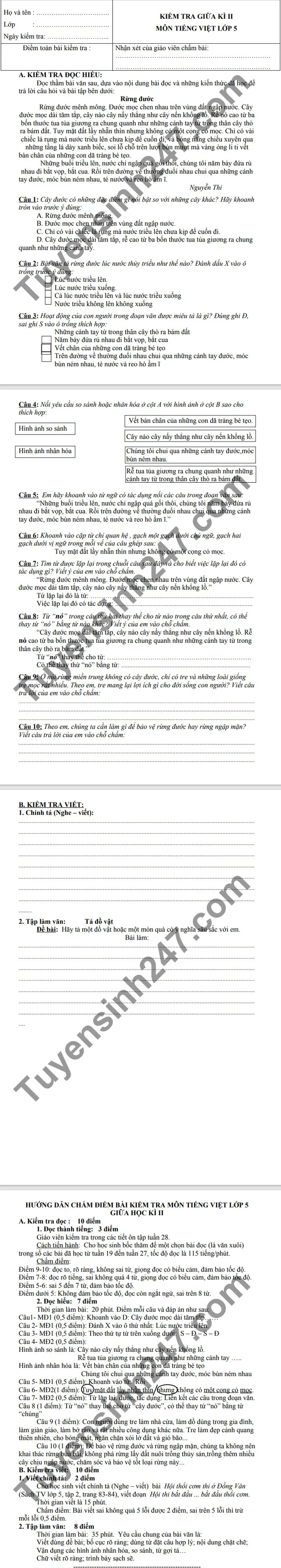 Hình ảnh minh họa về cây tre và rừng ngập mặn