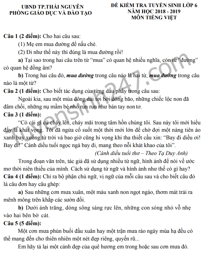 Tổng Hợp 50+ Đề Thi Tuyển Sinh Lớp 6 Môn Tiếng Việt Năm 2025 (Mới Nhất)