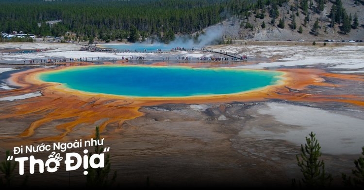 Hướng Dẫn Chi Tiết Về Internet và Tìm Kiếm Thông Tin Hiệu Quả