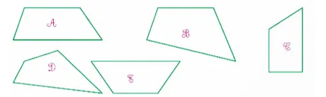 Hình minh họa các hình A, B, C, D, E, F