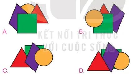 Các lựa chọn sản phẩm của Việt