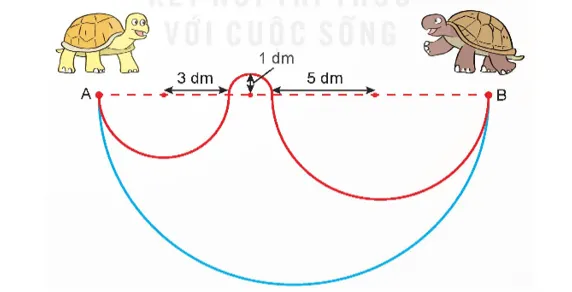 Hình vẽ minh họa Bài 4 trang 109 Toán lớp 5 Kết nối tri thức