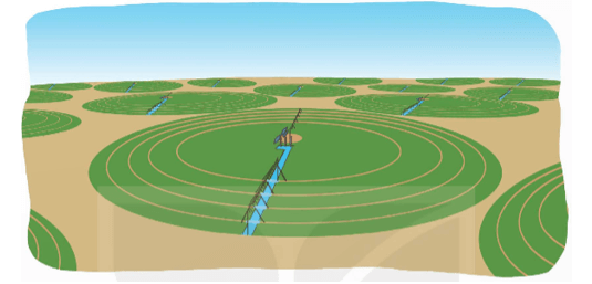 Giải Toán Lớp 5 Trang 112 Kết Nối Tri Thức