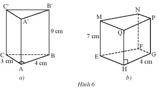 Hình 6: Hình lăng trụ đứng minh họa các cạnh