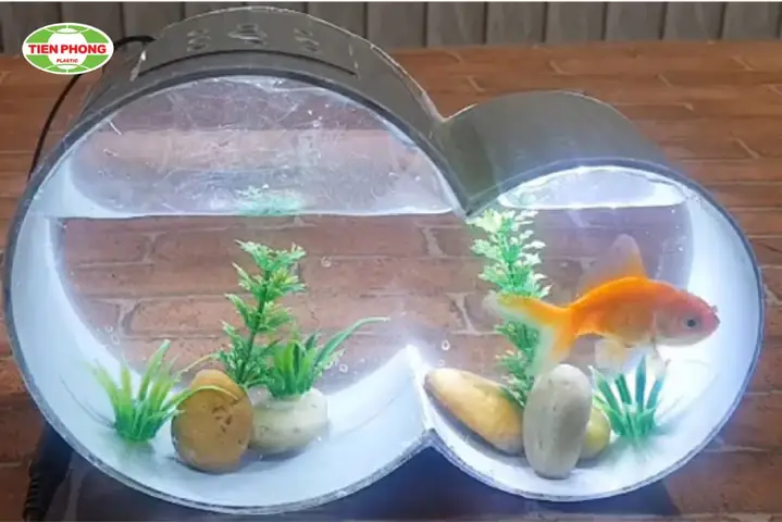 Hướng Dẫn Chi Tiết Cách Làm Bể Cá Bằng Ống Nhựa PVC Độc Đáo, Tiết Kiệm