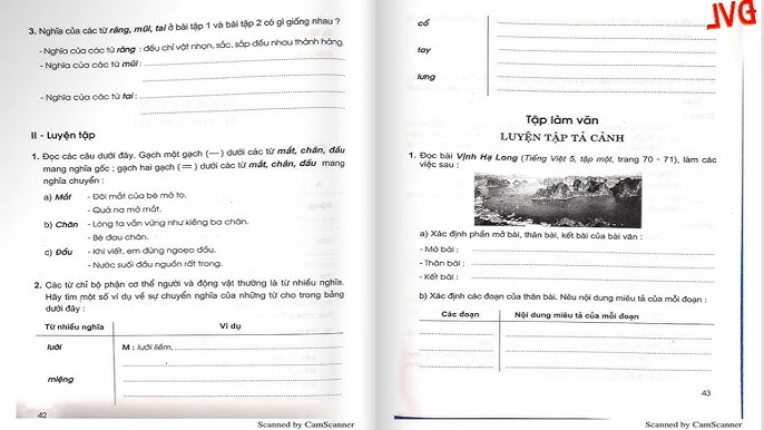 Vở Bài Tập Tiếng Việt Lớp 3 Tập 2: Hướng Dẫn Chi Tiết Từ A-Z