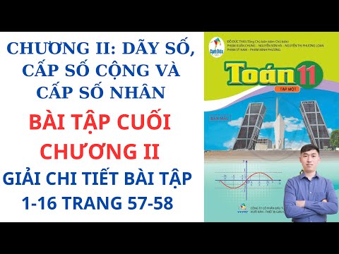 Giải Toán 11 Trang 58 Tập 1 Cánh Diều: Chi Tiết Các Bài Tập