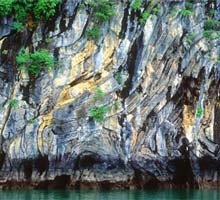 Định Lý Xấp Xỉ Weierstrass Và Các Dạng Tổng Quát