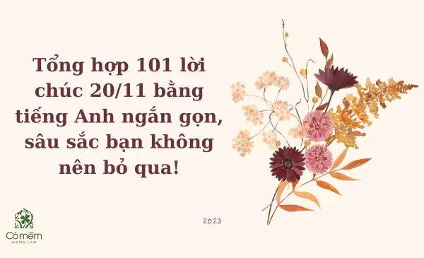 Tổng Hợp Lời Chúc Ngày Nhà Giáo Việt Nam Bằng Tiếng Anh Ý Nghĩa