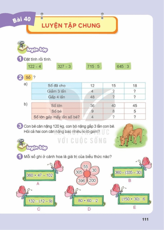 Giải Toán Lớp 5 Trang 112 Kết Nối Tri Thức