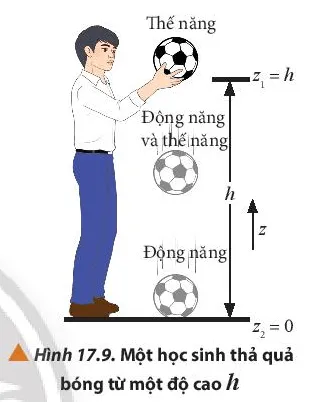 Lý thuyết Động năng và thế năng. Định luật bảo toàn cơ năng (Vật Lí 10 Chân trời sáng tạo Bài 17) (ảnh 6)