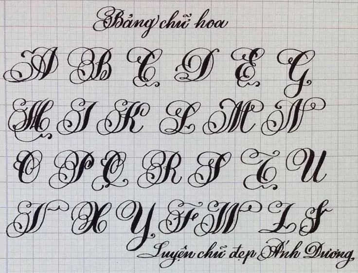 Mẫu chữ hoa sáng tạo 5