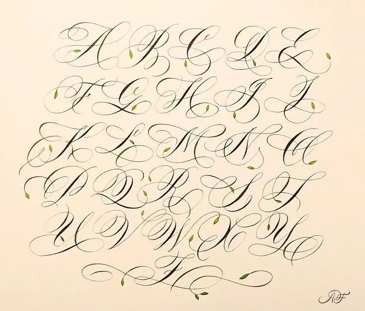 Mẫu chữ hoa sáng tạo 2