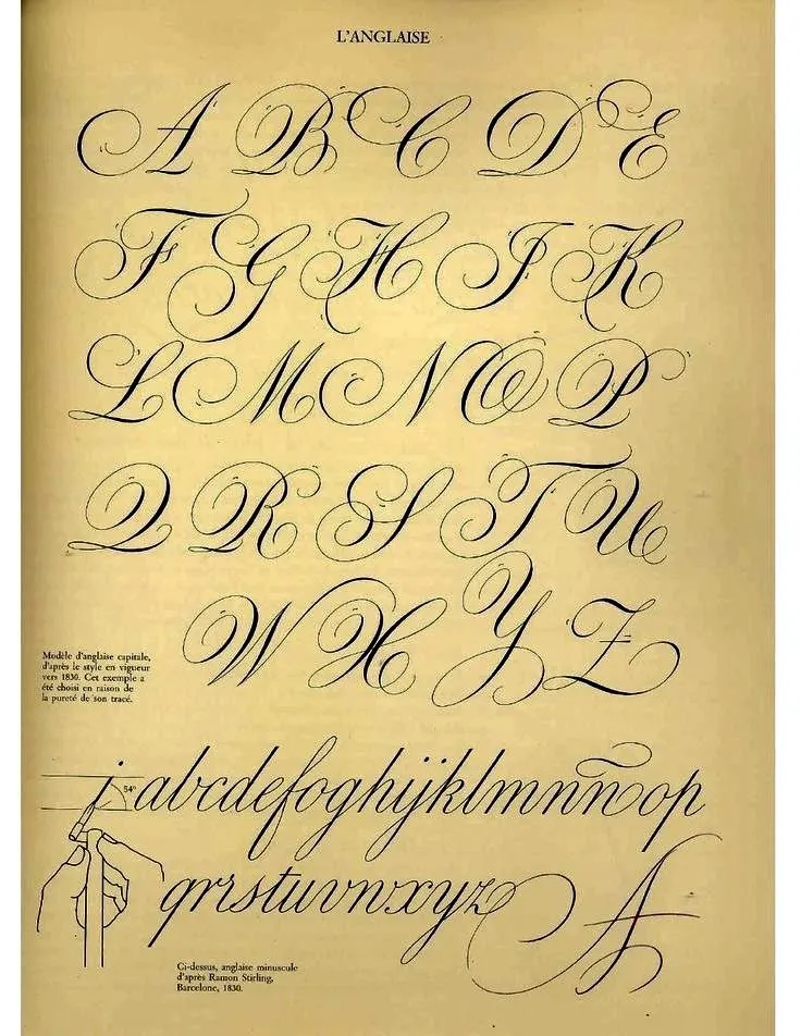 Mẫu chữ hoa sáng tạo 12