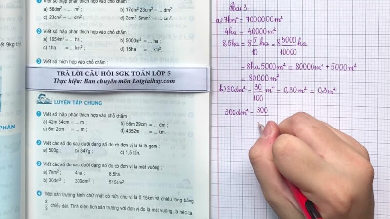 Giải Toán Lớp 5 Trang 47 Luyện Tập Chung: Hướng Dẫn Chi Tiết