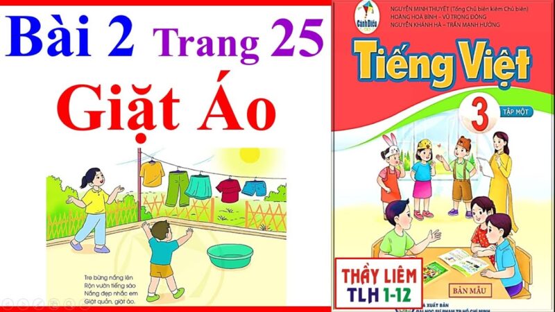 Bài Tập Tiếng Việt Lớp 3 Trang 16: Đọc Hiểu Bài Thơ "Giặt Áo" Sách Cánh Diều