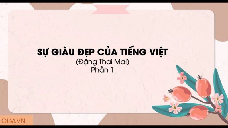 Sự Giàu Đẹp Của Tiếng Việt
