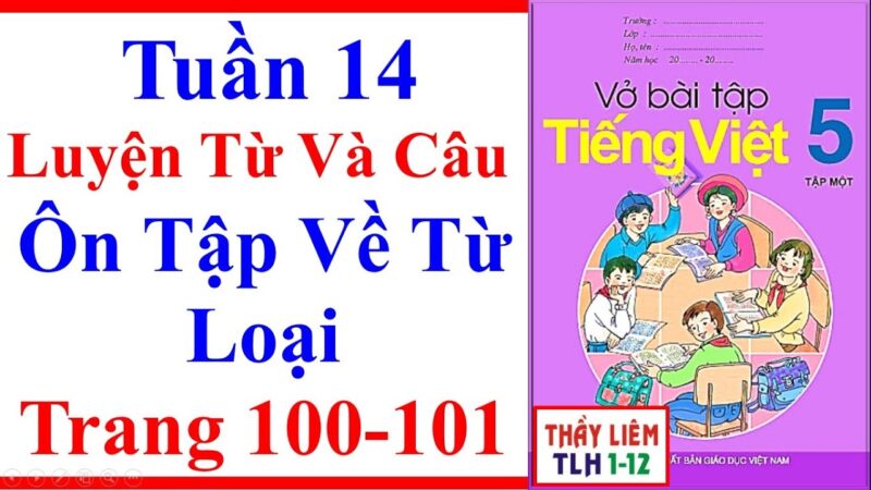 Vở Bài Tập Tiếng Việt Lớp 5 Tập 1 Trang 100, 101: Luyện Từ Và Câu