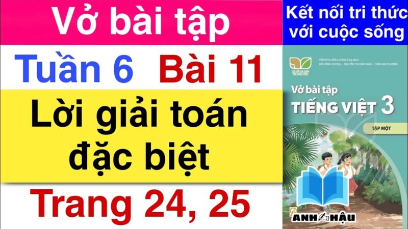 Vở Bài Tập Tiếng Việt Lớp 3 Bài 11: Lời Giải Đặc Biệt Trang 24, 25 Tập 1 - Sách Kết Nối Tri Thức