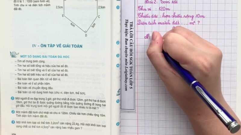 Giải Toán Lớp 5 Trang 170: Ôn Tập Về Giải Toán