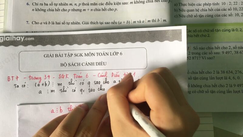 Giải Toán Lớp 6 Trang 34 Tập 1 Cánh Diều: Quan Hệ Chia Hết Và Tính Chất Chia Hết