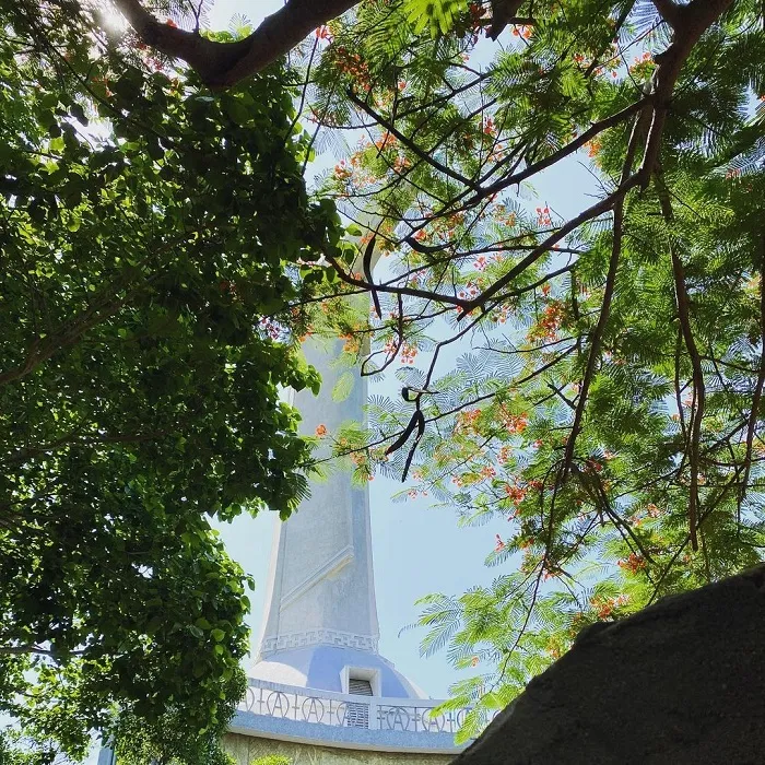 Tượng Chúa Kito Vua là một trong những bức tượng nổi tiếng ở Việt Nam