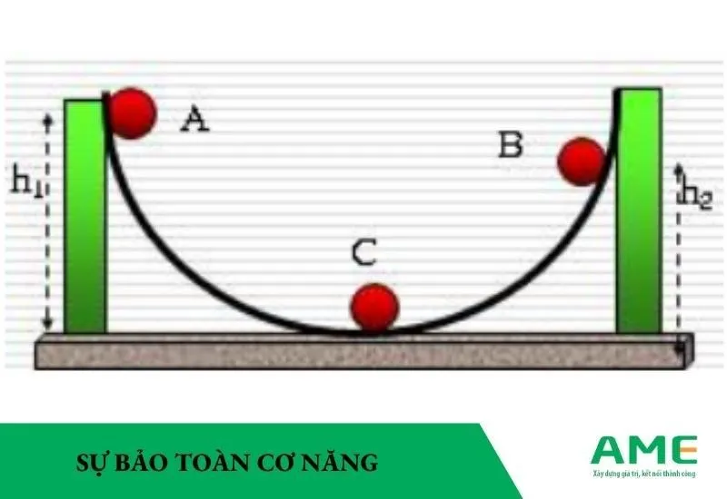 Sự bảo toàn cơ năng