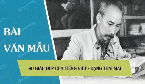Sự Giàu Đẹp Của Tiếng Việt