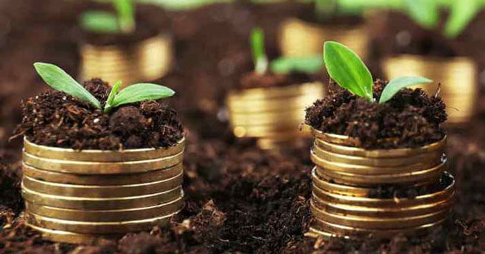 Giải Toán Qua Mạng: Global ViOlympic Mở Rộng Tầm Vóc Quốc Tế