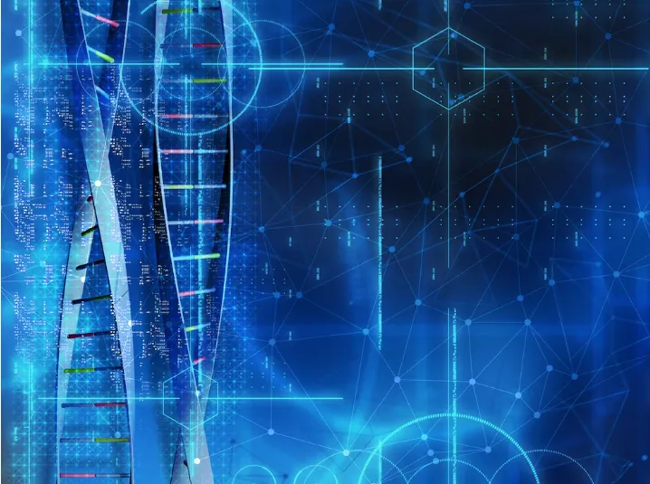 Biểu đồ minh họa độ phức tạp của các thuật toán phổ biến