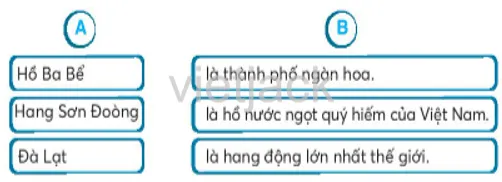 Các sản vật đặc trưng của Việt Nam