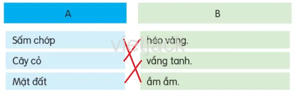Đáp án bài tập nối câu nêu đặc điểm của sự vật trong bài đọc
