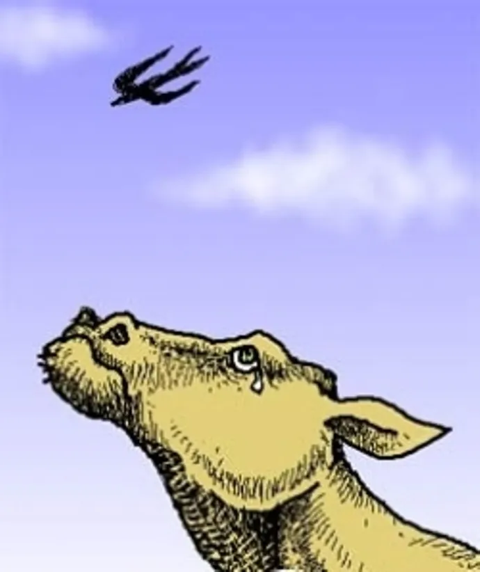 Hình ảnh minh họa cho bài hát Dona Dona