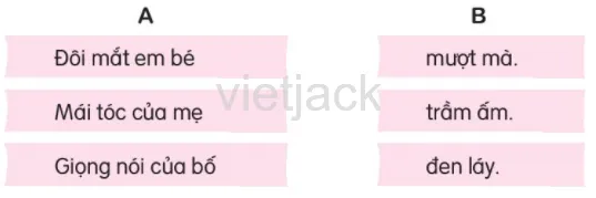 Kết quả sau khi nối các từ ngữ ở hai cột để tạo thành câu hoàn chỉnh về đặc điểm