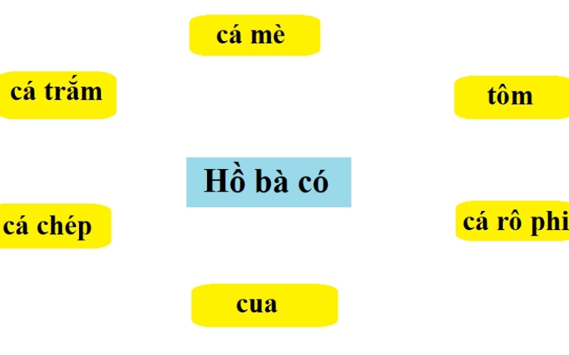 Cấu trúc chuẩn đề thi giữa kì 1 Tiếng Việt lớp 1 theo Thông tư 27