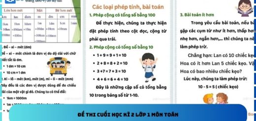 Đề thi cuối học kì 2 lớp 1 môn toán
