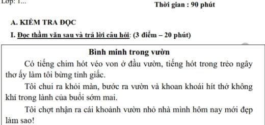 Đề thi học kì 2 lớp 1 môn Tiếng Việt