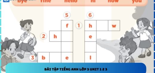Bài tập Tiếng Anh lớp 3 Unit 1 2 3
