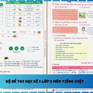 Bộ đề thi học kì 1 lớp 3 môn Tiếng Việt