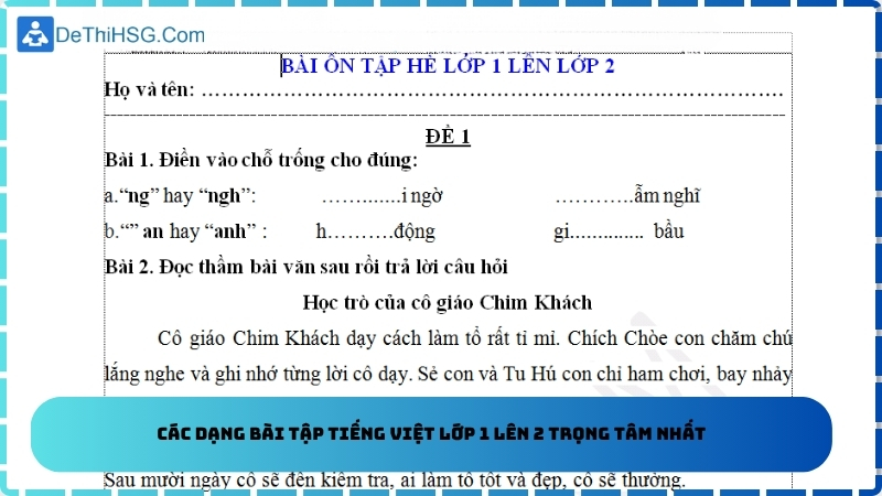 Các dạng bài tập Tiếng Việt lớp 1 lên 2 trọng tâm nhất