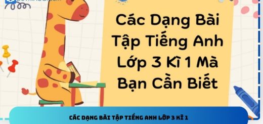 Các dạng bài tập tiếng Anh lớp 3 kì 1