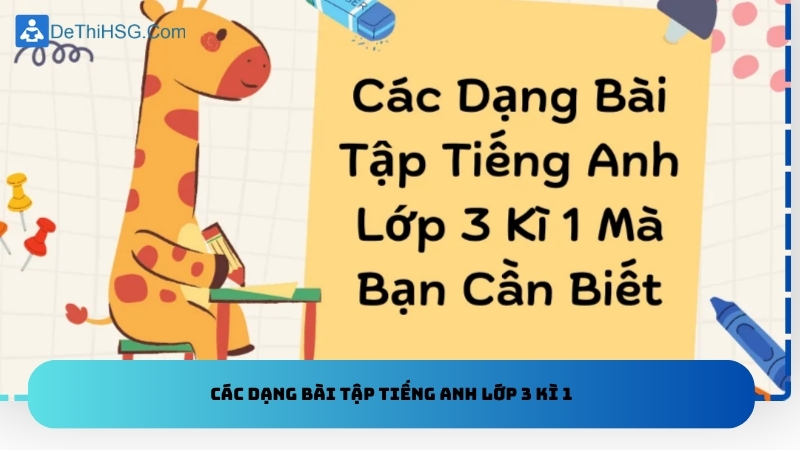 Các dạng bài tập tiếng Anh lớp 3 kì 1