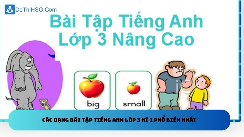 Các dạng bài tập tiếng anh lớp 3 kì 1 phổ biến nhất