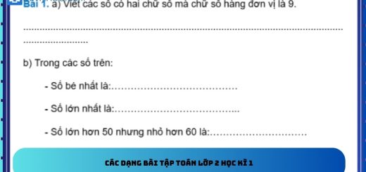 Các dạng bài tập toán lớp 2 học kì 1