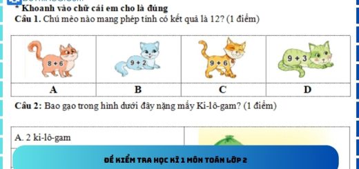 Đề kiểm tra học kì 1 môn Toán lớp 2