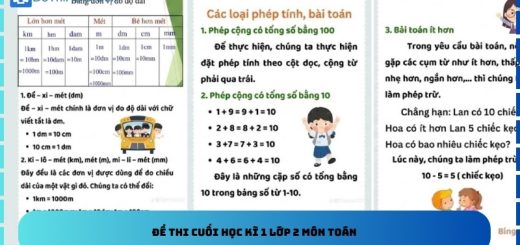 Đề thi cuối học kì 1 lớp 2 môn Toán
