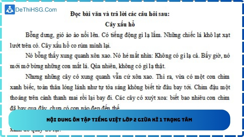Nội dung ôn tập tiếng việt lớp 2 giữa kì 1 trọng tâm