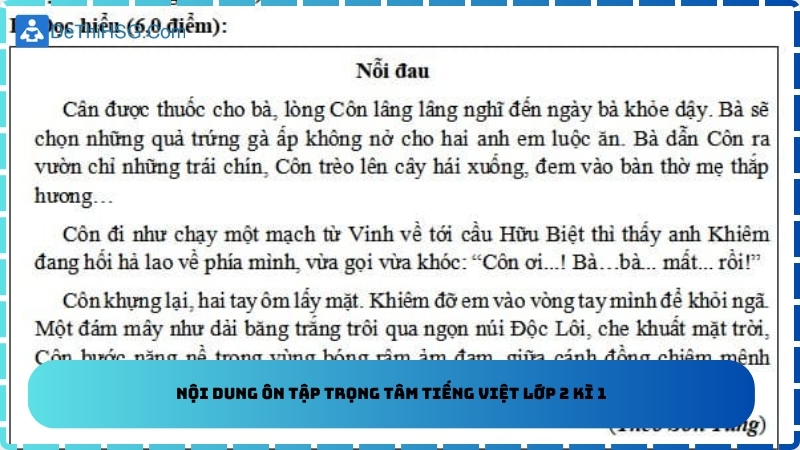 Nội dung ôn tập trọng tâm Tiếng Việt lớp 2 kì 1