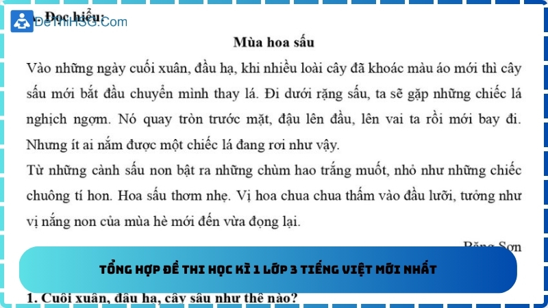 Tổng hợp đề thi học kì 1 lớp 3 Tiếng Việt mới nhất
